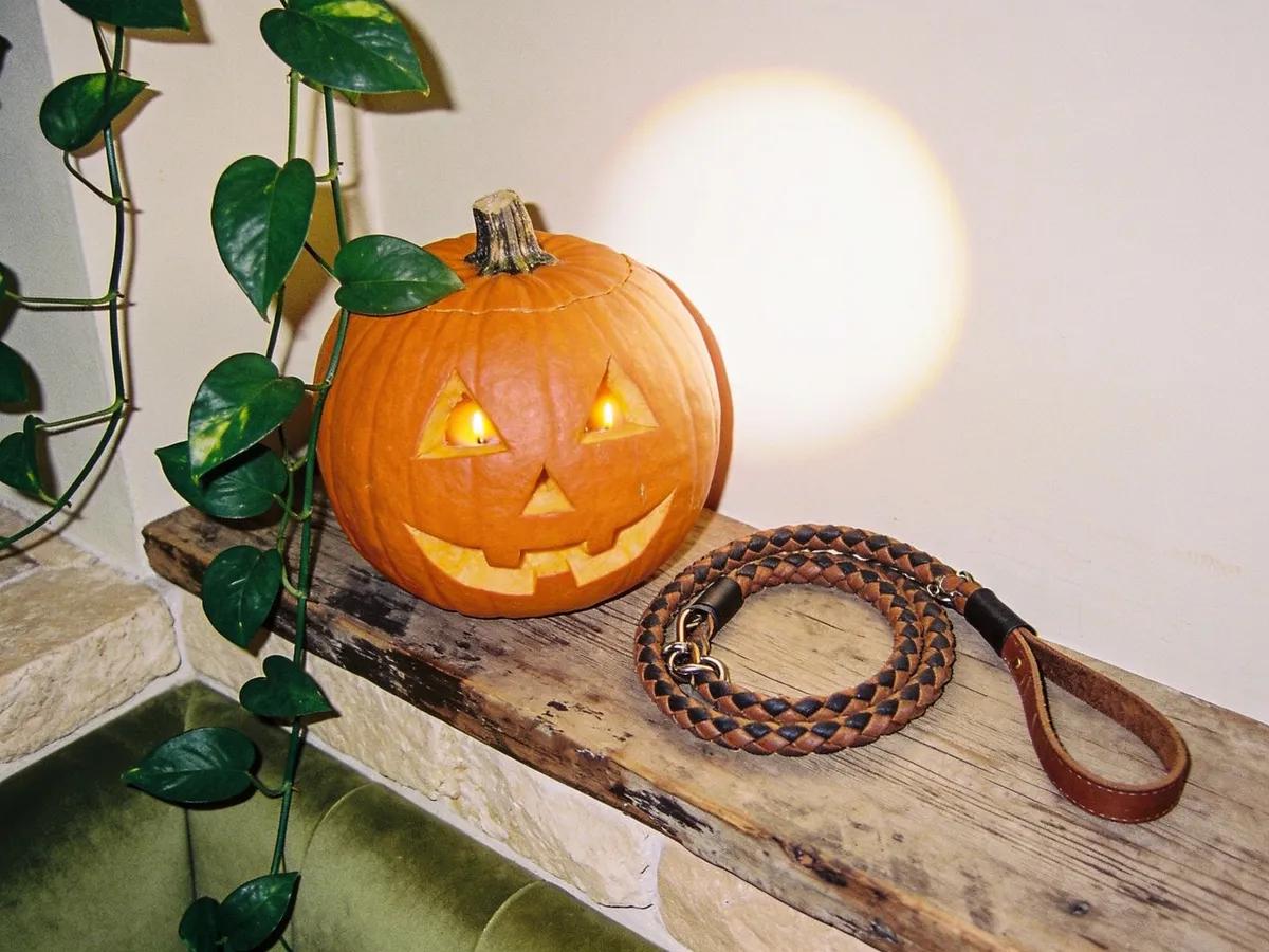 Halloween at 1 Hotel Austin