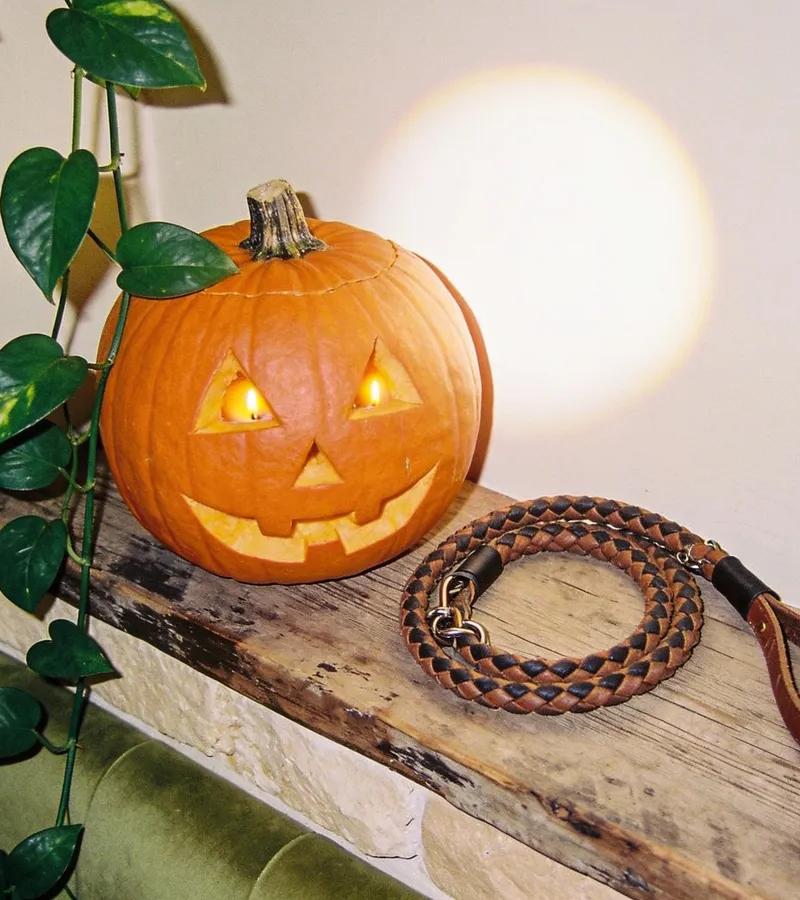 Halloween at 1 Hotel Austin